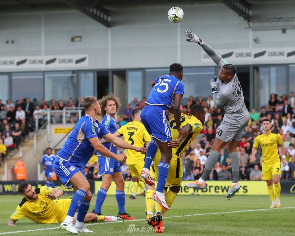 亚冬会的一 亚冬会的一